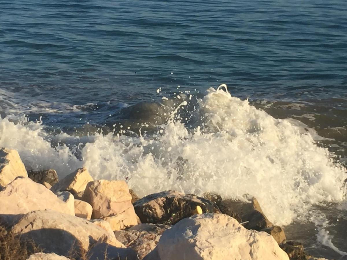 Le Stanze Di Botticelli Bed & Breakfast Termoli Ngoại thất bức ảnh